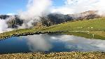 1467701353_0roop 1.jpg